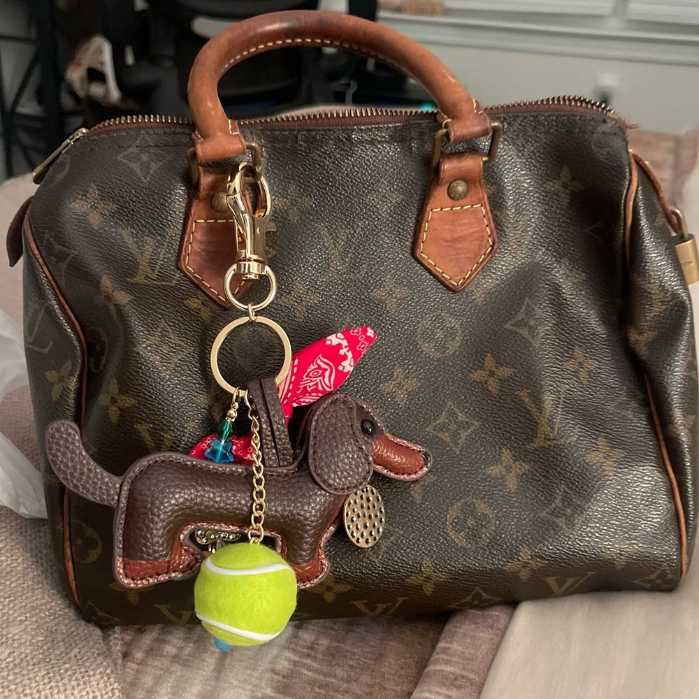 Used Louis Vuitton Monogram Speedy 25